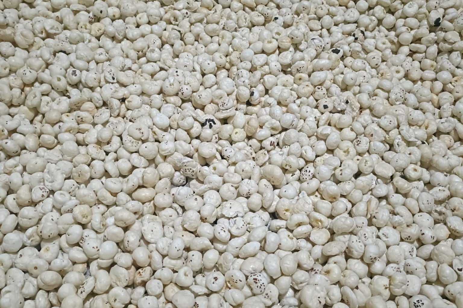 Handpicked Makhana 